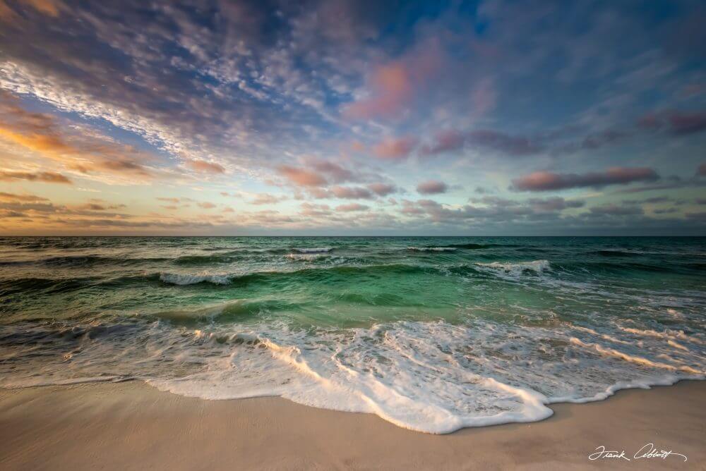 Wildlife & Landscape Photography of the Emerald Coast by Frank Abbott